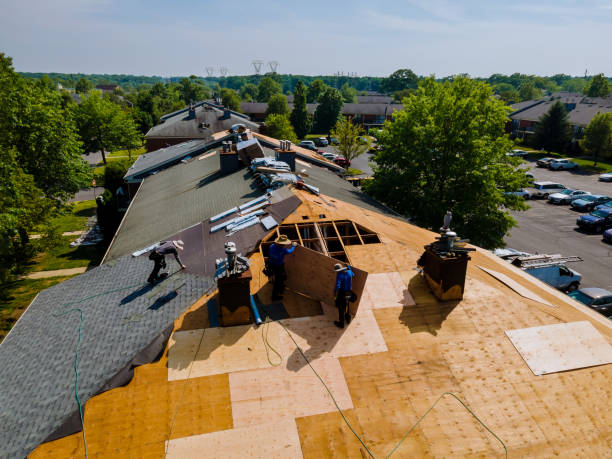 Best Roof Maintenance Services  in Mayville, WI