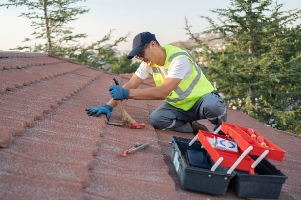 Best Flat Roof Repair Services  in Mayville, WI