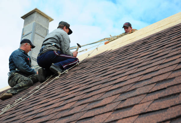 Best Emergency Roof Repair  in Mayville, WI