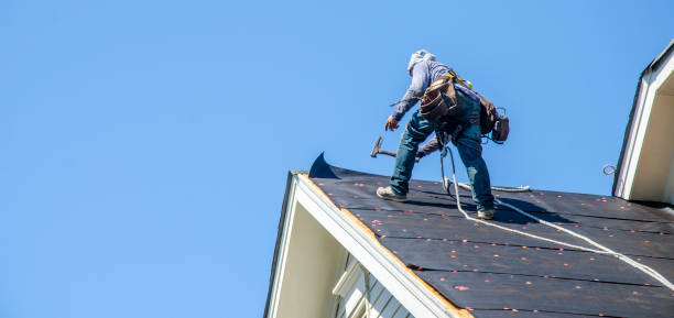 Best Roof Waterproofing Services  in Mayville, WI